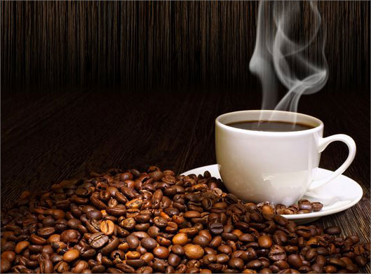 تصویر 5 از قیمت خرید دان قهوه چری با فروش عمده